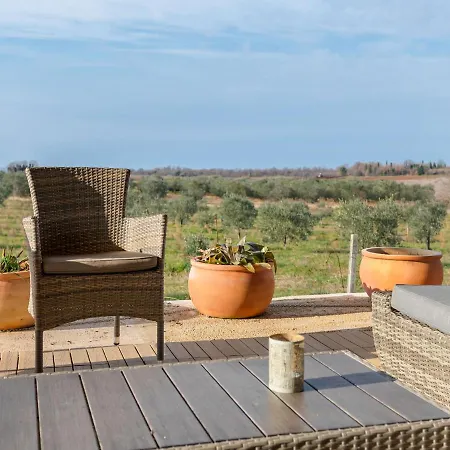 Dainty Holiday In Novigrad With Private Swimming Pool